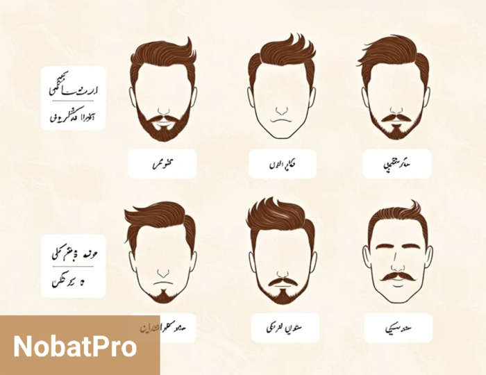 صورت بیضی